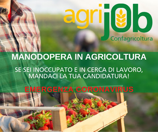 AGRIJOB il PORTALE DI CONFAGRICOLUTRA PER L'INCONTRO DOMANDA E OFFERTA DI LAVORO