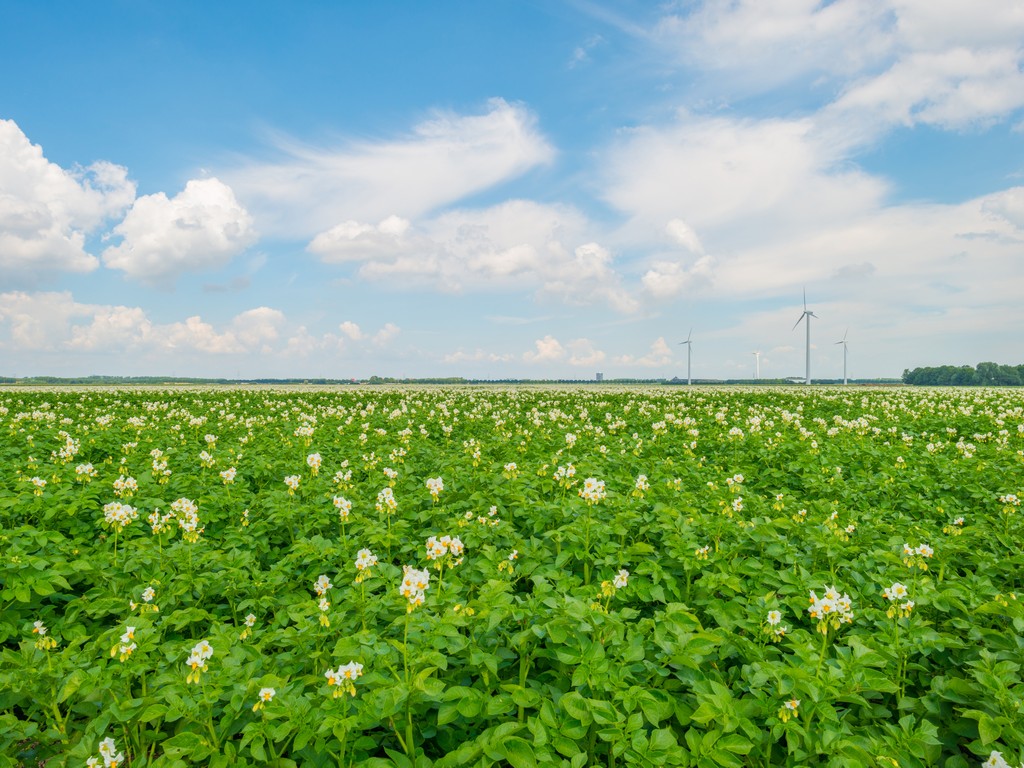 Lavorare nelle fattorie in Svizzera con Agriviva