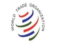 Tirocinio presso World Trade Organization Scadenza 31 dicembre 2023