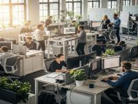 Riepilogo delle offerte di lavoro di collocamento mirato in provincia di Pisa
