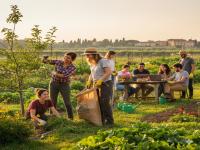 🌿 Corso Gratuito: Tecniche di Giardinaggio